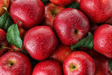 Many ripe juicy red apples covered with water drops as background