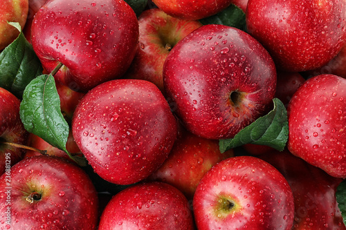 Wiele dojrzałych soczystych czerwonych jabłek pokrytych kroplami wody jako tło
