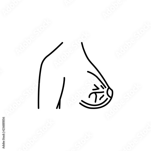 Breast, muscle, woman body icon. Element of anti aging outline icon for mobile concept and web apps. Thin line Breast, muscle, woman body icon can be used for web and mobile