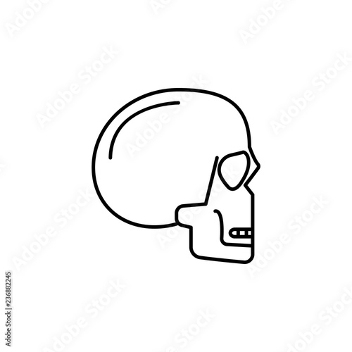 skull, head icon. Element of anti aging outline icon for mobile concept and web apps. Thin line skull, head icon can be used for web and mobile