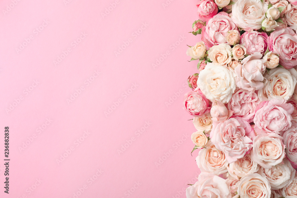 Flat lay composition with beautiful roses and space for text on color background