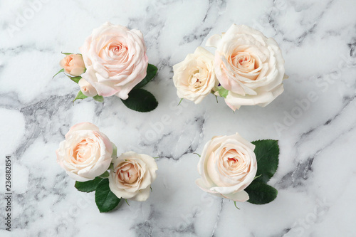 Beautiful roses on marble background, top view