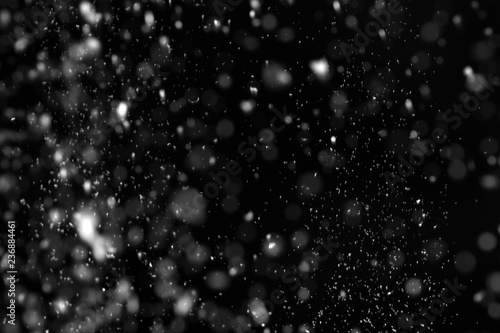 Snow flakes falling on black background. Winter weather photo