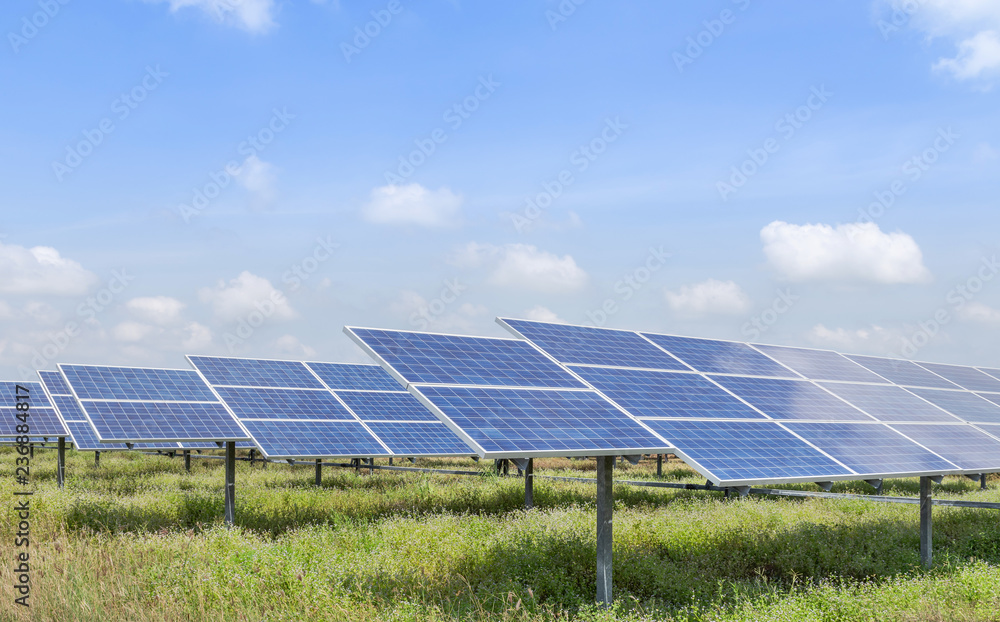 rows array of polycrystalline silicon solar cells or photovoltaic cells in solar power plant turn up skyward absorb the sunlight from the sun rows array of polycrystalline silicon solar cells or photovoltaic cells in solar power plant turn up skyward absorb the sunlight from the sun