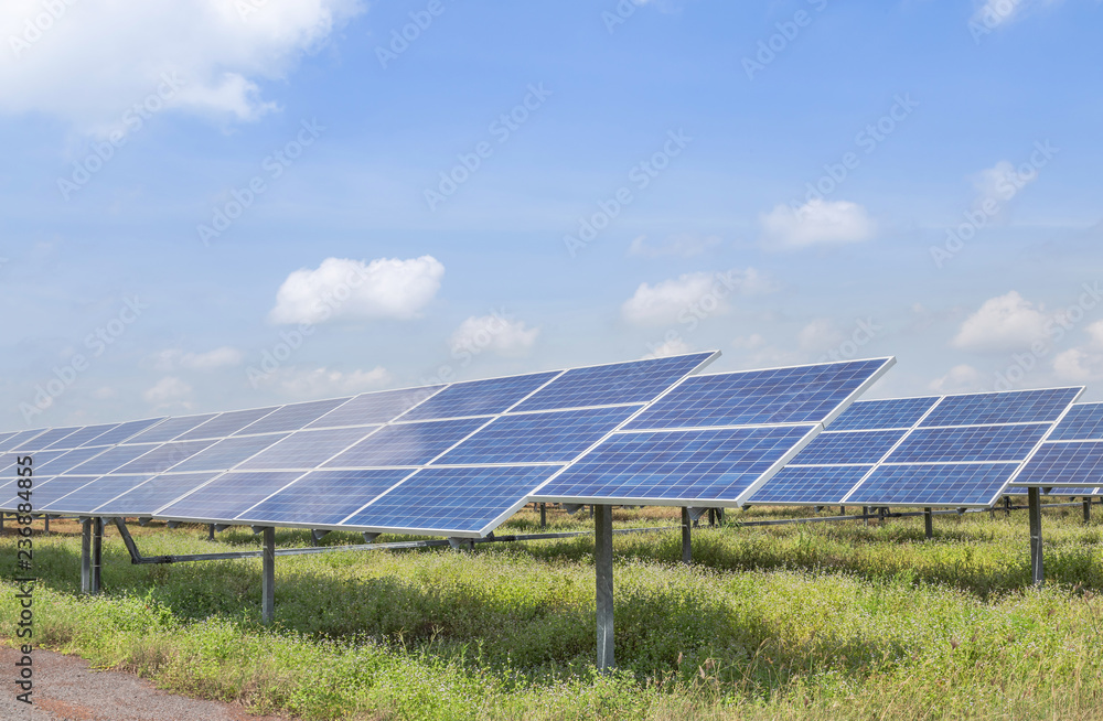rows array of polycrystalline silicon solar cells or photovoltaic cells in solar power plant turn up skyward absorb the sunlight from the sun 