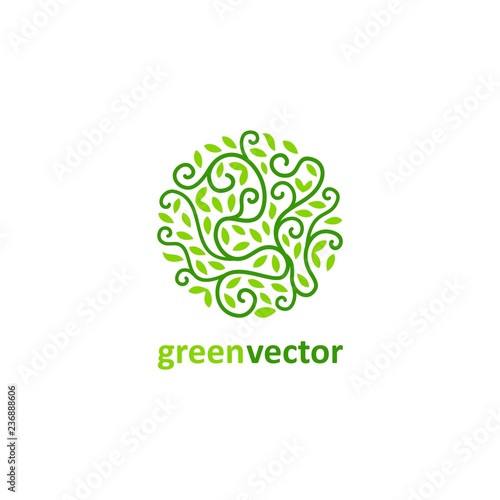 green leaf logo design inspiration