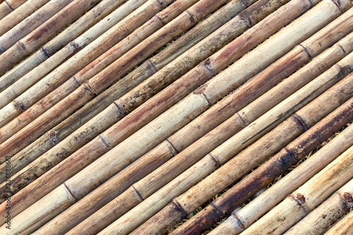 Close background bamboo bridge with dew.