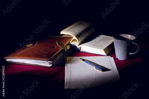 Penna - stilografica - notebook - cuoio - documenti - libri - business - 