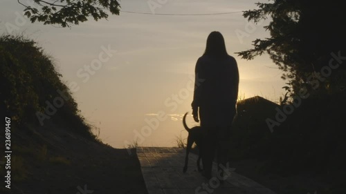Woman and dog approach the beach