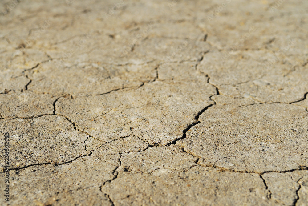 Fototapeta premium 土 ひび割れ 素材