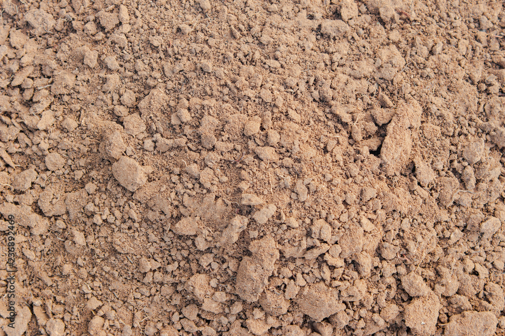 Texture ground. earth texture wallpaper. Texture ground. earth texture wallpaper.
