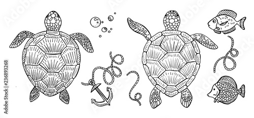 Seamless vector pattern of sea turtles and tropical fish