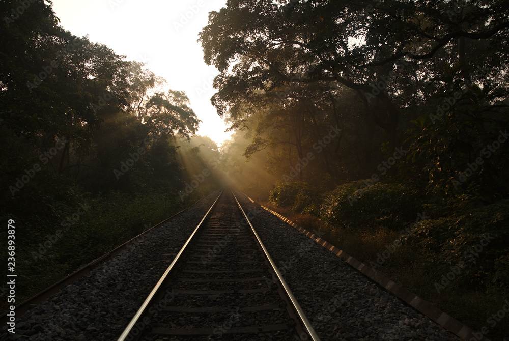Obraz premium Mystic rays of morning sun on railway tracks 5655