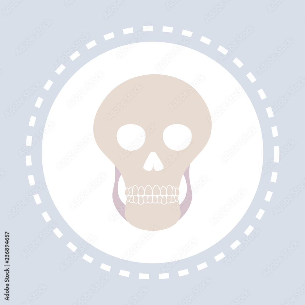 MRI or magnetic resonance image of skull icon healthcare medical service logo medicine and health symbol concept flat MRI or magnetic resonance image of skull icon healthcare medical service logo medicine and health symbol concept flat