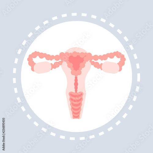 reproductive system anatomy female uterus, cervix, ovary, fallopian tube icon healthcare medical service logo medicine and health symbol concept flat vector illustration