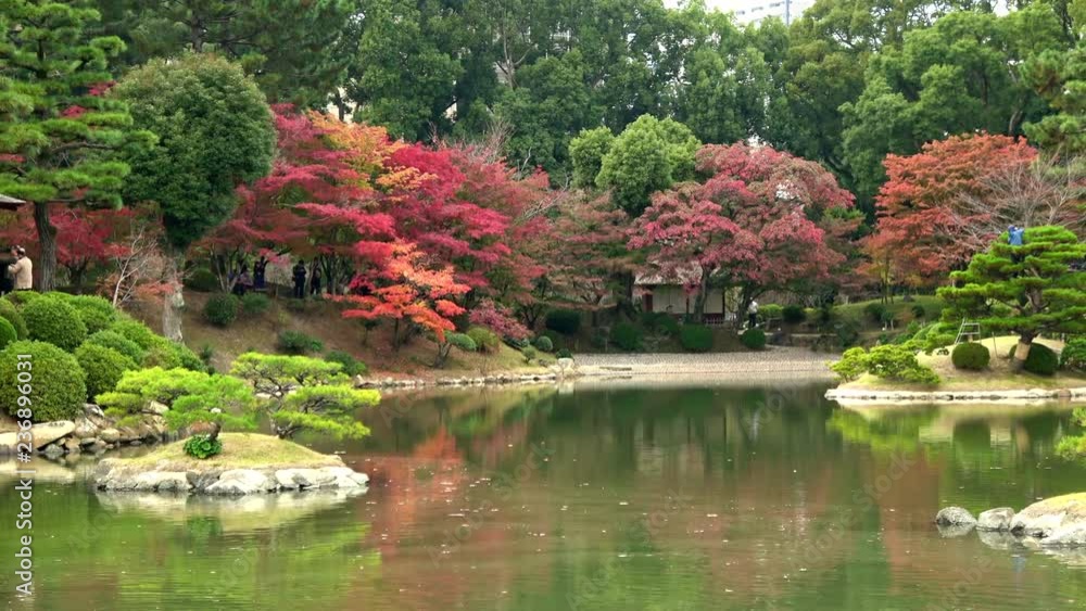Japanese garden with autumn leaves, 4K Japanese garden with autumn leaves, 4K