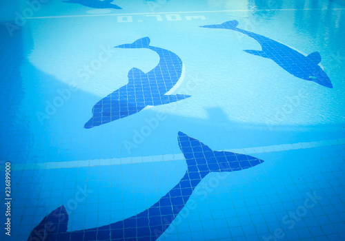 swimming pool tiles / dolphin pattern on swimming pool water blue surface