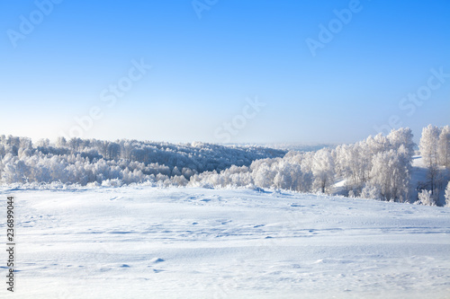 Winter snow forest and field landscape, white trees covered with hoar frost, hills, snow drifts on bright blue sky background, New Year or Christmas greeting card, calendar, banner, border concept