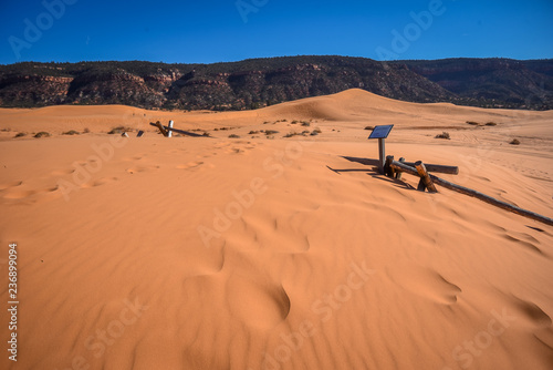 Fototapeta Naklejka Na Ścianę i Meble -  Coral Pink Sands State Park Utah