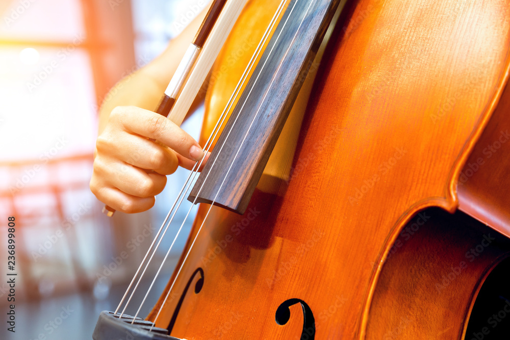 Close up of cello with bow in hands Close up of cello with bow in hands