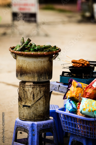 cactus in pots - Ha Noi street foods