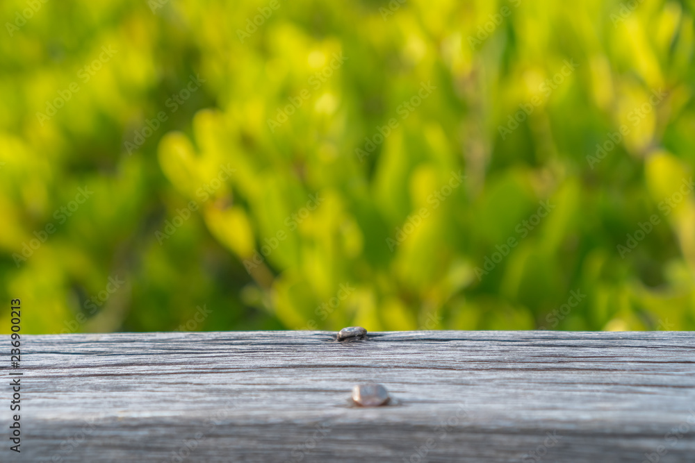Fototapeta premium Selective focus of empty old wood on blur nature green leaf with bokeh.