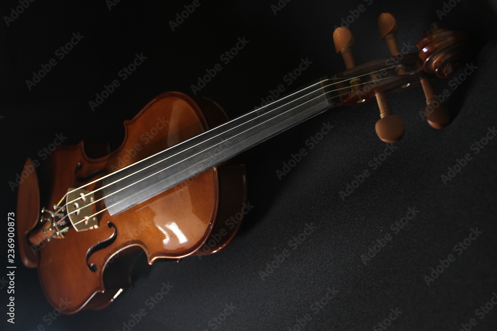Fototapeta premium Violin