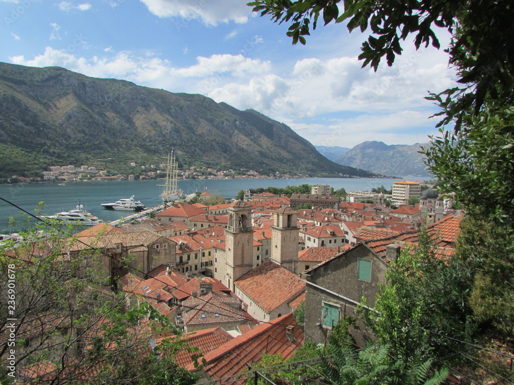 View of Kotor bay and the city of Kotor, Montenegro