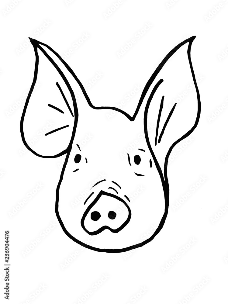 Muzzle pig close up on a white background. Sketch. Muzzle pig close up on a white background. Sketch.