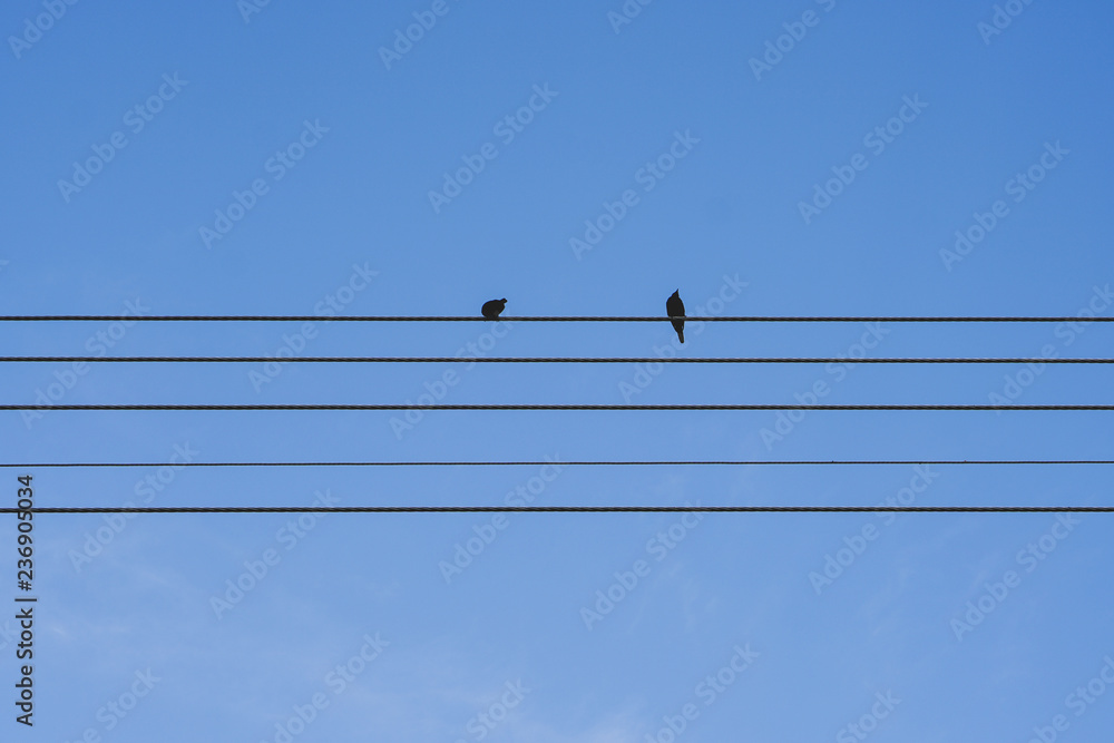 Group of birds is sitting on the power line cable on the cloudy sky background. Group of birds is sitting on the power line cable on the cloudy sky background.