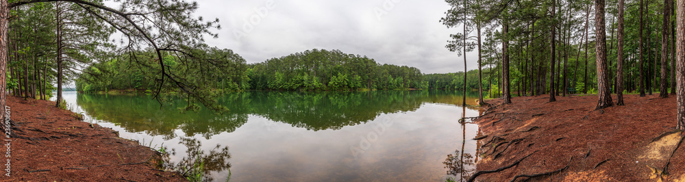 Lake Allatoona and Pine Forest Panorama on Cloudy Day