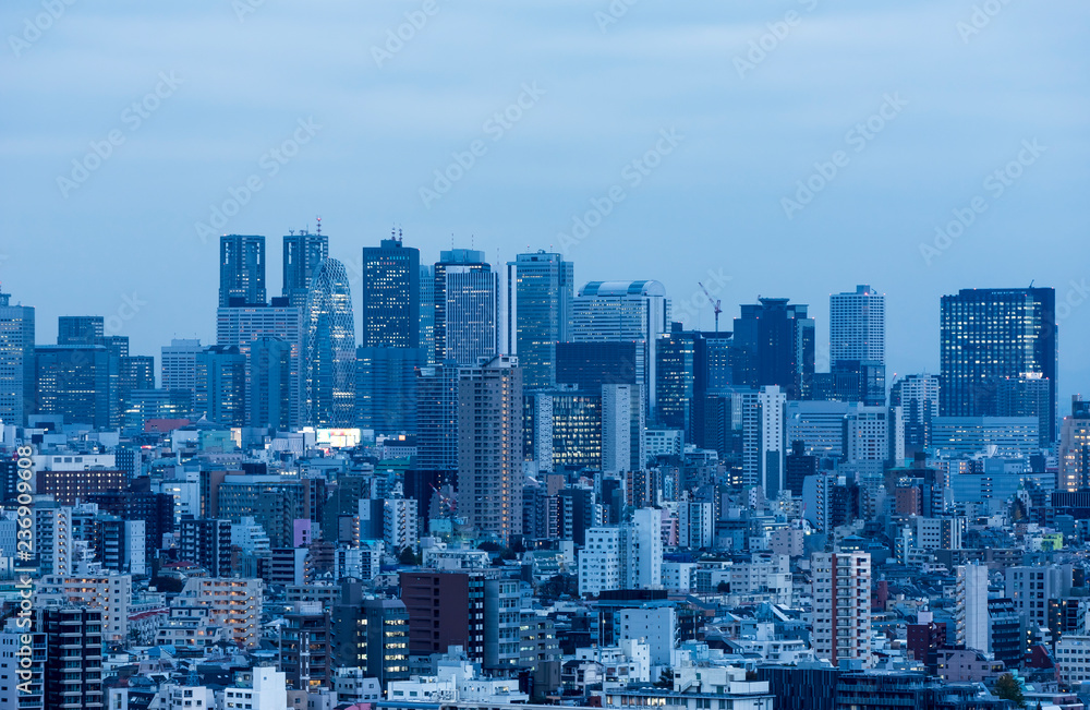 新宿高層ビル群の夕暮れ