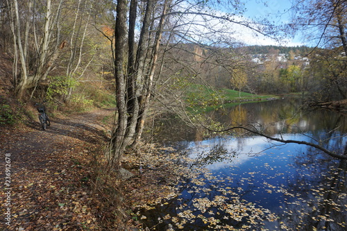 autumn