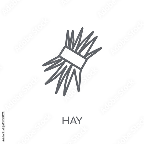 Hay linear icon. Modern outline Hay logo concept on white background from Agriculture Farming and Gardening collection