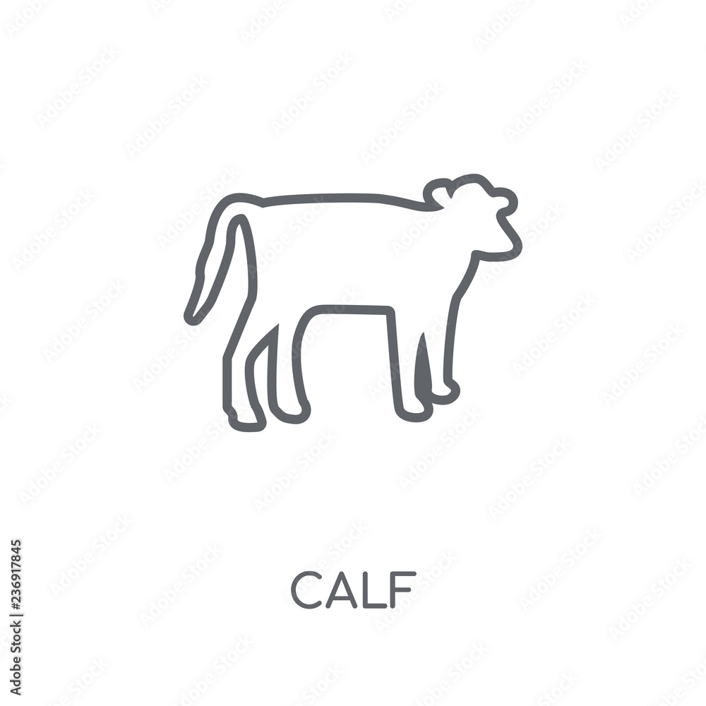 Calf linear icon. Modern outline Calf logo concept on white background