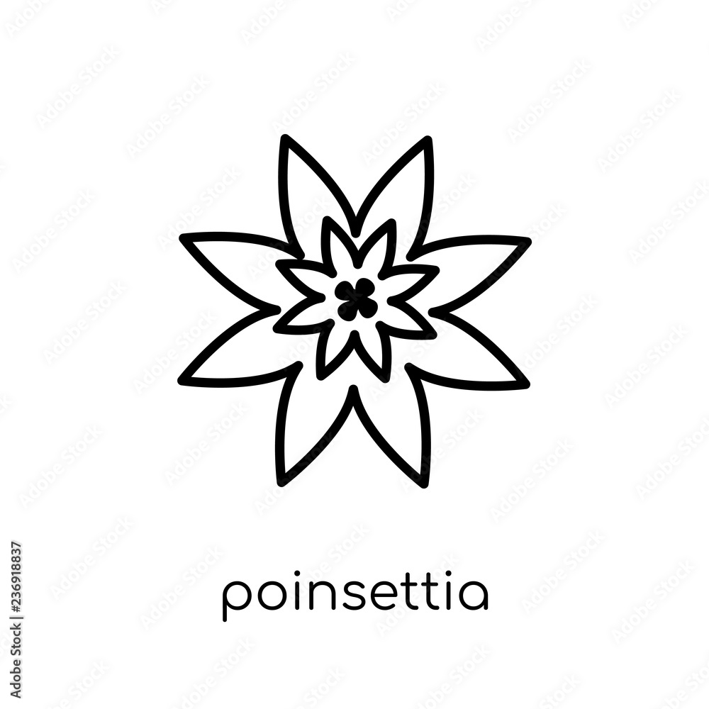 Poinsettia icon. Trendy modern flat linear vector Poinsettia icon on white background from thin line nature collection