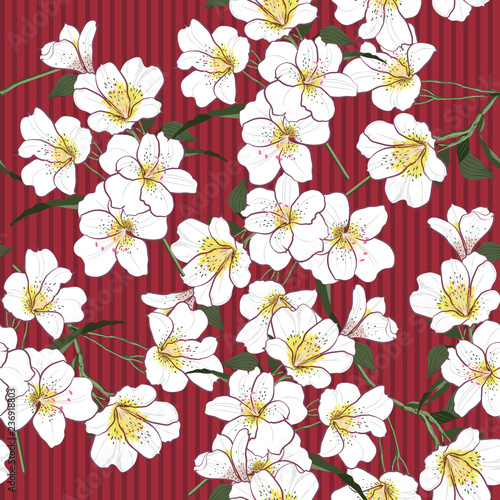 Vector Seamless Pattern Hand Drawn white garden flowers Artwork Isolated Red stripe for fashion fabric