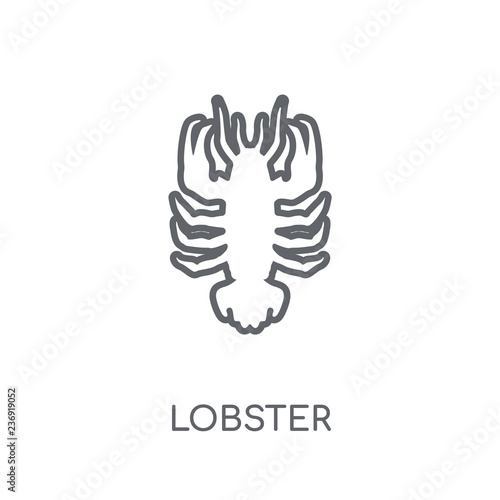 Lobster linear icon. Modern outline Lobster logo concept on white background from animals collection