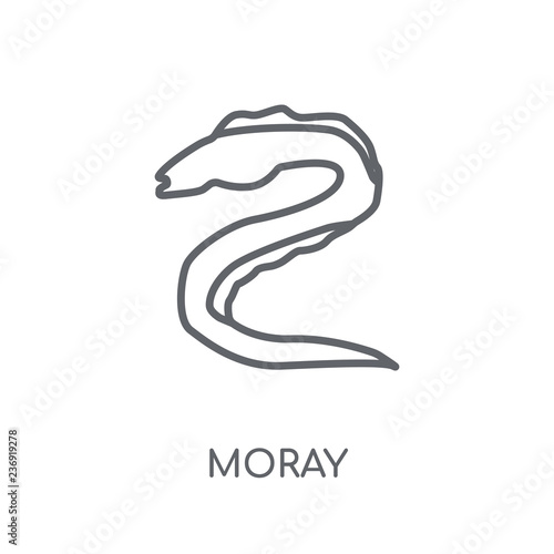 Moray linear icon. Modern outline Moray logo concept on white background from animals collection