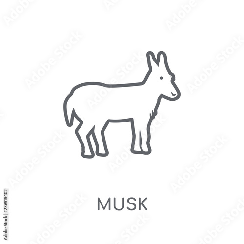 Musk linear icon. Modern outline Musk logo concept on white background from animals collection photo