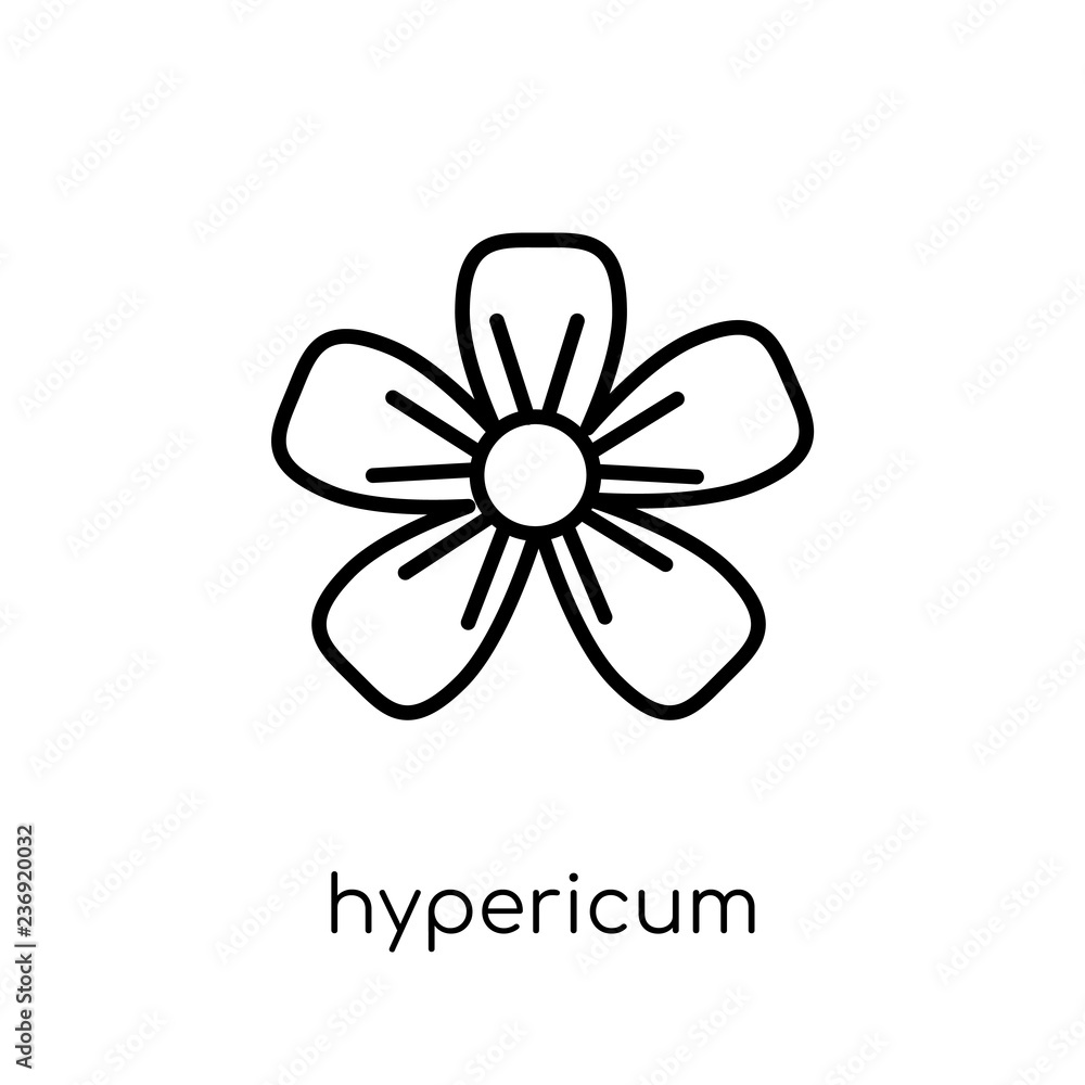Hypericum icon. Trendy modern flat linear vector Hypericum icon on white background from thin line nature collection