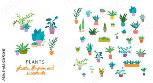 Indoor home plants in ceramic pots seamless pattern. Vector collection.