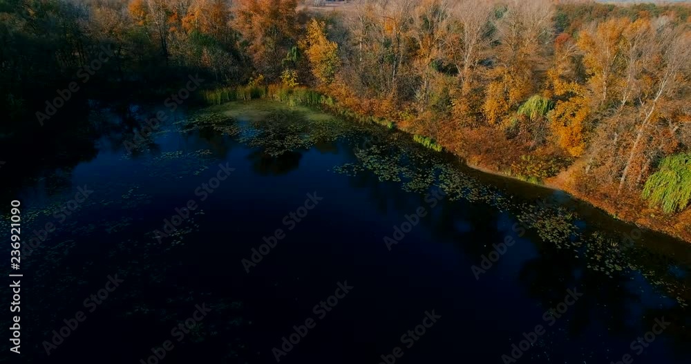 Aerial Drone Opening reveal Shot trees city autumn in golden hour. Aerial drone shot of autumn trees and countryside over city lake and river on blue and golden hour At Sunset . Drone flying forward Aerial Drone Opening reveal Shot trees city autumn in golden hour. Aerial drone shot of autumn trees and countryside over city lake and river on blue and golden hour At Sunset . Drone flying forward