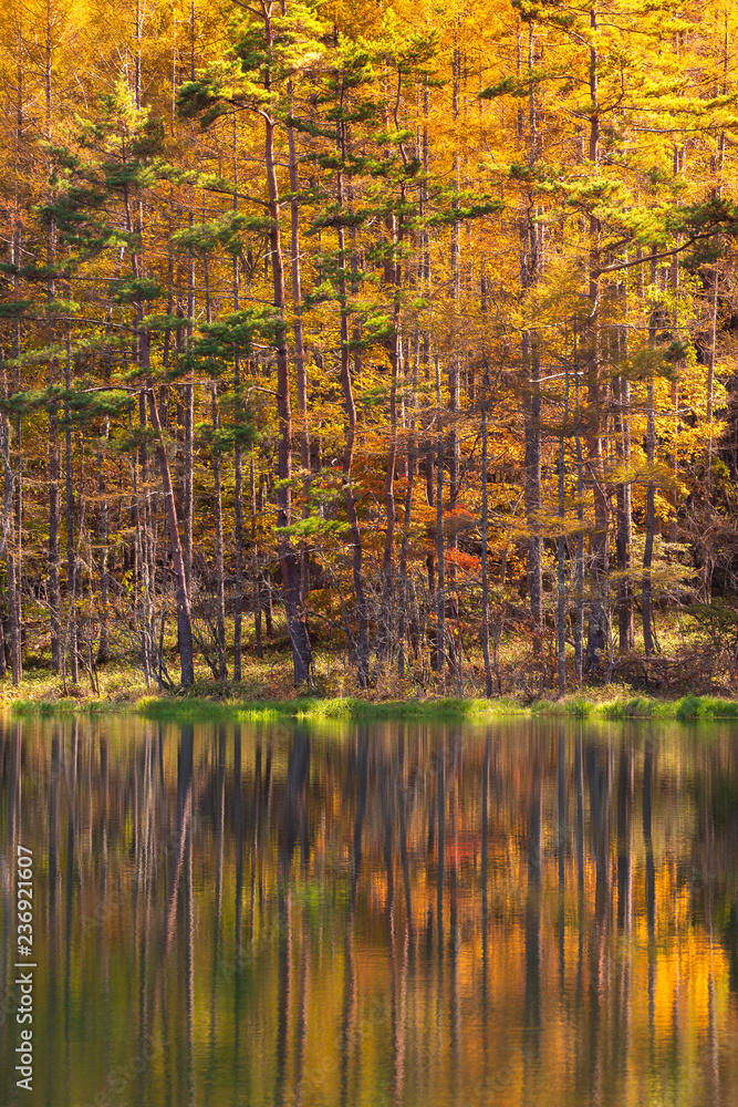 Mishaka pond in Autumn. Located in Chino City, Nagano Prefecture, Japan