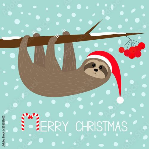 Merry Christmas. Sloth hanging on rowan rowanberry sorb berry tree branch. Santa hat. Happy New Year. Cute cartoon funny character. Baby collection. Flat design. Blue snow background.