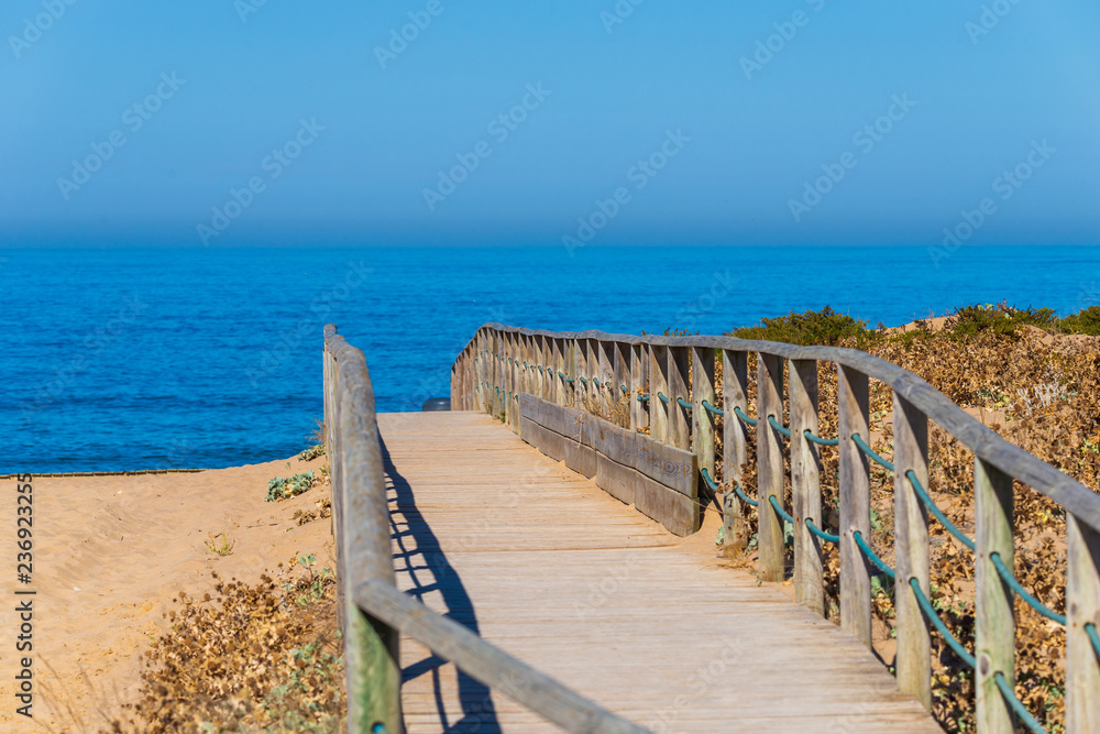 Wooden walkway or path on a beach