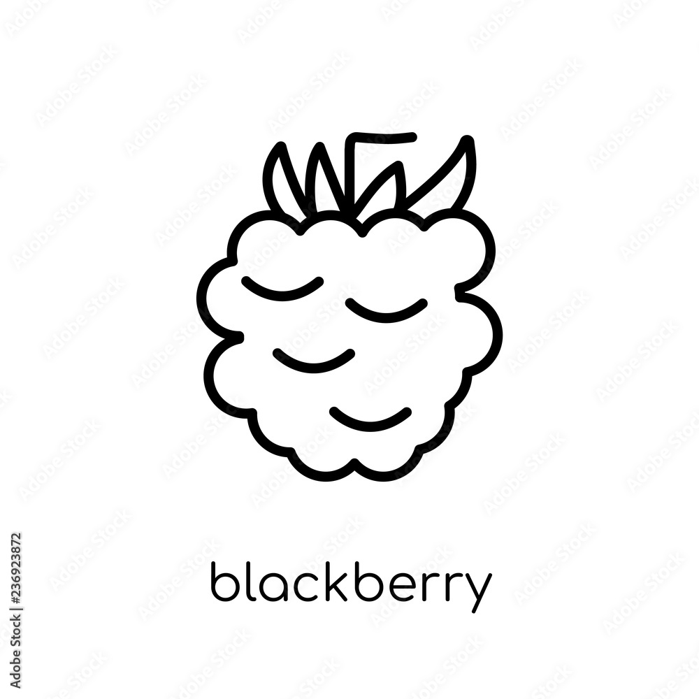 Blackberry icon from Fruit and vegetables collection. Blackberry icon from Fruit and vegetables collection.