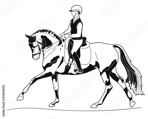 Equestrian sport. Dressage rider and horse performing canter.