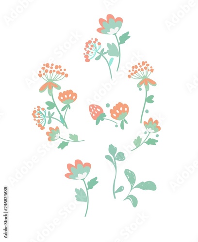 Fototapeta Naklejka Na Ścianę i Meble -  Set with beautiful decorative flowers on a white background. Vector illustration.
