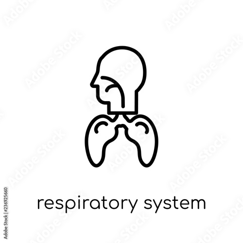 Respiratory System icon. Trendy modern flat linear vector Respiratory System icon on white background from thin line Human Body Parts collection